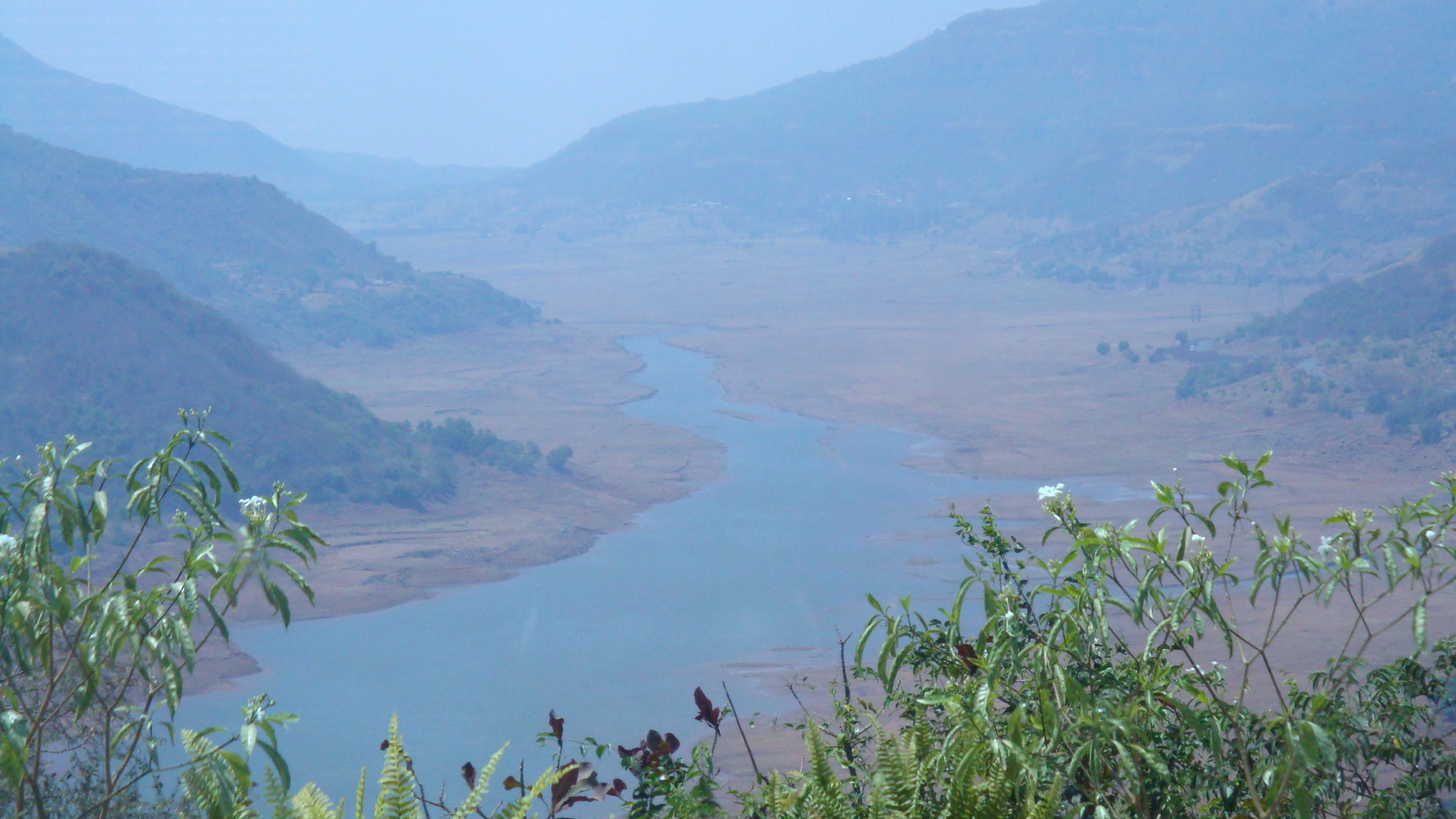 LAVASA, bananivista